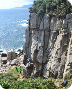 龍洞天然岩場Longdong Climbing Cliffs